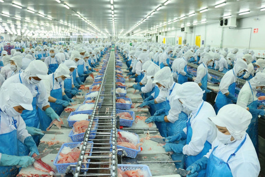 Giá vốn cao và áp lực chi phí "ăn mòn" lợi nhuận của Vĩnh Hoàn