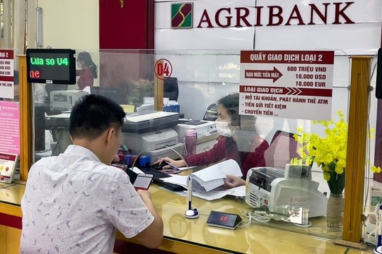 Bà Rịa - Vũng Tàu: Nợ xấu được kiểm soát dưới 3%