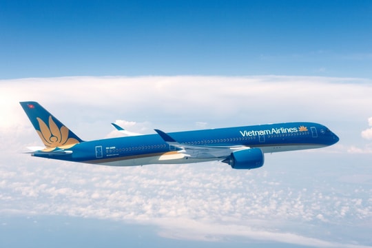 Vietnam Airlines tham gia Diễn đàn Doanh nghiệp Ấn Độ, mở rộng mạng lưới và tăng cường kết nối hai nước