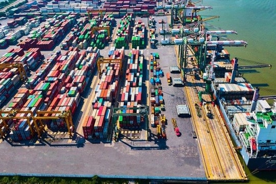 Chi hơn 3.000 tỷ đồng thâu tóm Cảng Nam Hải Đình Vũ, Viconship kinh doanh ra sao trong quý II?