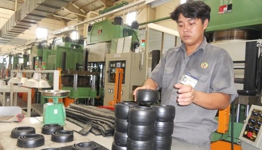 Ngành cao su đang đối mặt hai vấn đề lớn