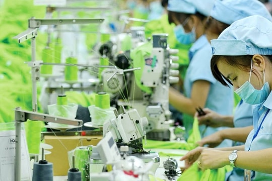 Sự kiện tại Bangladesh và cơ hội cho cổ phiếu dệt may