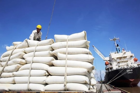 Giá gạo trong nước đang cao hơn giá nhập khẩu của thương nhân Philippines