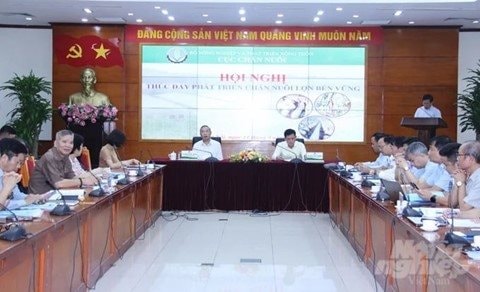 Doanh nghiệp FDI giữ vị trí áp đảo về nguồn cung thịt lợn