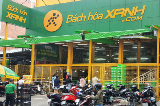 SSI Research dự báo Bách Hoá Xanh có thể lãi 228 tỷ trong năm 2024