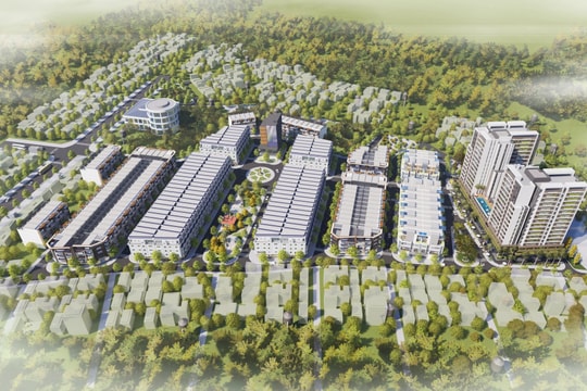 Cyoung Việt Nam “nhòm ngó” khu đô thị hơn 7.700 tỷ ở Ninh Thuận