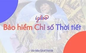 Igloo công bố hợp tác cùng ABIC triển khai bảo hiểm chỉ số thời tiết