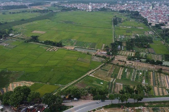 Vinaconex xuất hiện trong liên danh “nhòm ngó” khu đô thị hơn 4.463 tỷ đồng ở Thanh Trì
