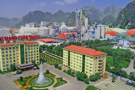 Số tiền thanh toán lãi trái phiếu nửa đầu năm 2024 của Xi măng Xuân Thành gấp gần 13 lần lãi ròng