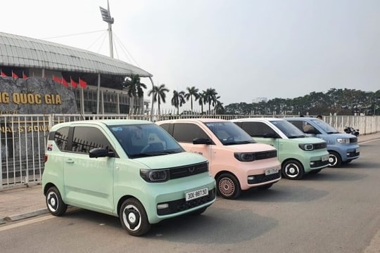 Một doanh nghiệp phân phối ô tô điện tại Việt Nam báo lỗ kỷ lục