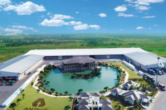 An Phát Holdings và Nhựa An Phát Xanh cùng báo lỗ sau khi ông Phạm Ánh Dương bán sạch cổ phần