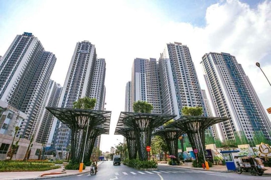 TNR Holdings báo lãi giảm sâu