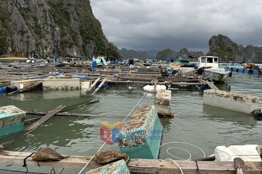 Bão Yagi gây thiệt hại khoảng 40.000 tỷ đồng, kéo tăng trưởng GDP chậm lại