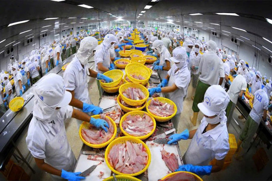 An Giang: Giữ nhịp tăng trưởng vốn tín dụng phục vụ phát triển kinh tế địa phương