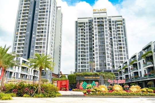 BV Land kinh doanh ra sao trước khi thay đổi Chủ tịch Hội đồng quản trị?
