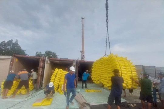 Ấn Độ mở cửa lại thị trường, xuất khẩu gạo Việt Nam có bị ảnh hưởng?