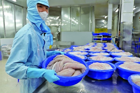 Chủ động tăng quy mô gói tín dụng hỗ trợ lâm thủy sản