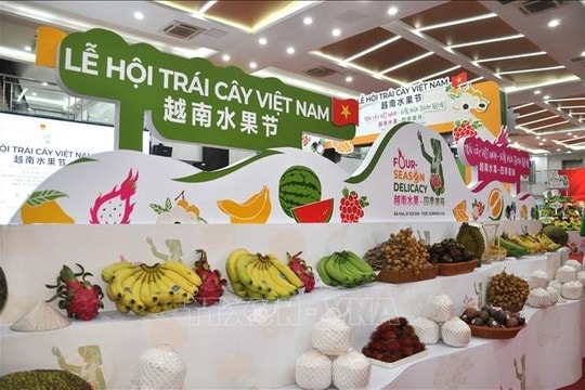 Lễ hội trái cây Việt Nam lần thứ nhất tại Bắc Kinh, Trung Quốc