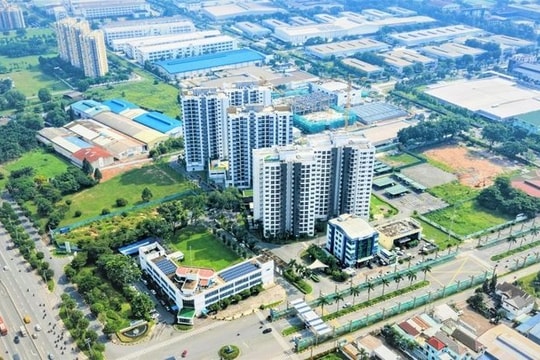 Lotte và Deawon cùng muốn làm dự án ở Quy Nhơn