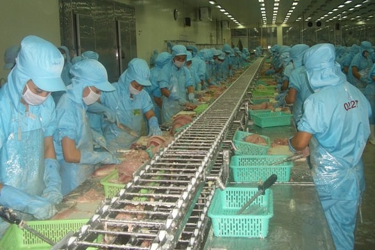 Xuất khẩu thủy sản sẽ đạt 9,5 tỷ USD trong năm nay