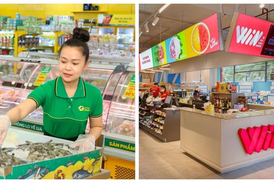 Bắc có Winmart, Nam có Bách Hoá Xanh, cuộc đấu ngành bán lẻ ngày càng gay cấn