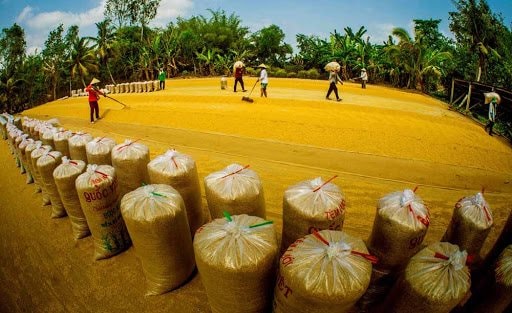 Ngành Ngân hàng Hậu Giang: Tích cực hỗ trợ vốn tín dụng cho người dân và doanh nghiệp