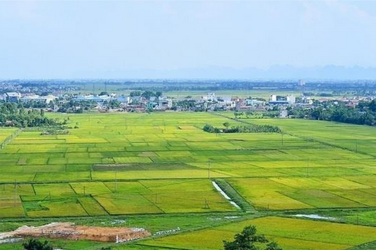 Sẽ trình Quốc hội tiếp tục miễn thuế sử dụng đất nông nghiệp đến hết năm 2030