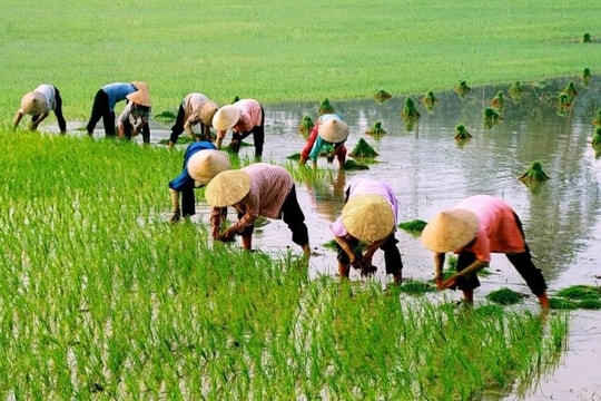 Đề xuất tiêu chí xác định người lao động có thu nhập thấp