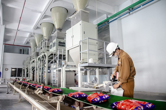 Lợi nhuận quý III/2024 của Hóa chất Đức Giang tiếp tục "đi lùi", mỗi ngày thu hơn 2,2 tỷ đồng lãi tiền gửi