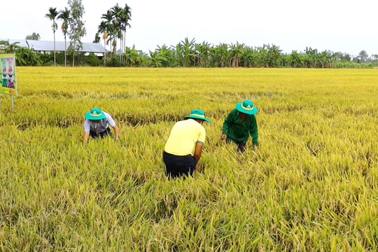 Nông dân hào hứng xem "Bí Kíp" Nông nghiệp trên nền tảng số