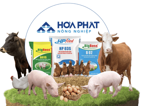 Một thập kỷ làm nông của “vua thép” Hòa Phát
