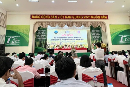 Triển khai chương trình cho vay ưu đãi 1 triệu ha lúa chất lượng cao phát thải thấp vùng đồng bằng sông Cửu Long