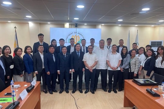 Gạo Việt tiếp tục ổn định tại thị trường Philippines