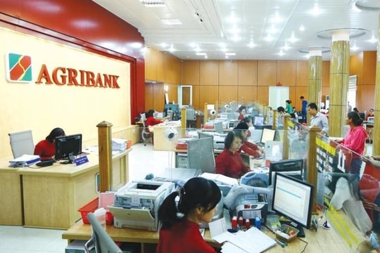 Hậu Giang: Dư nợ tín dụng lĩnh vực kinh tế tập thể tăng 19,69%