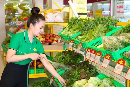 Vì sao Bách Hoá Xanh lại chần chừ trong quyết định Bắc tiến?