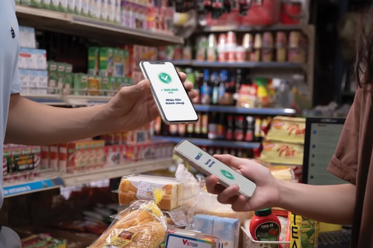 Tài chính số trong công cuộc phát triển tài chính toàn diện tại Việt Nam: Một số giải pháp cho nhà cung ứng dịch vụ