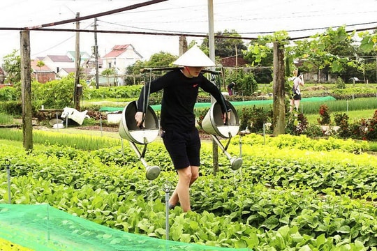 Việt Nam có 3 làng du lịch tốt nhất thế giới
