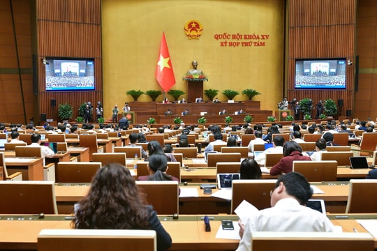 Thí điểm thực hiện dự án nhà ở thương mại: Cần giới hạn quy mô, diện tích