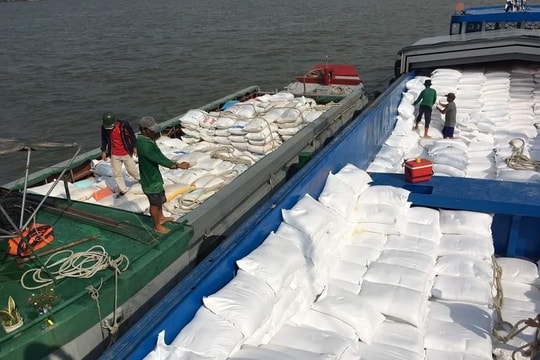 Xuất khẩu gạo đạt kỷ lục về lượng và kim ngạch, doanh nghiệp vẫn "xoay vòng" trong khó khăn