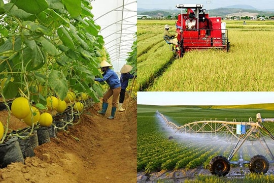 Kiện toàn Ban Chỉ đạo quốc gia về kinh tế tập thể