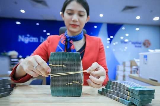 Đồng Nai: Dư nợ tín dụng 5 lĩnh vực ưu tiên đạt 8,4 nghìn tỷ đồng