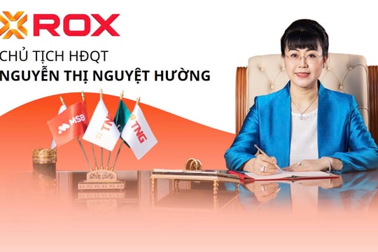 Những doanh nghiệp nổi bật trong hệ sinh thái ROX Group