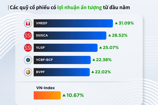 Năm 2024 có phải một năm “ấm túi” của nhà đầu tư quỹ mở?