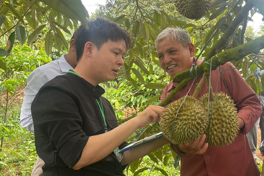 Đắk Lắk: Tín dụng chính sách góp lực đổi thay diện mạo nông thôn Krông Pắc