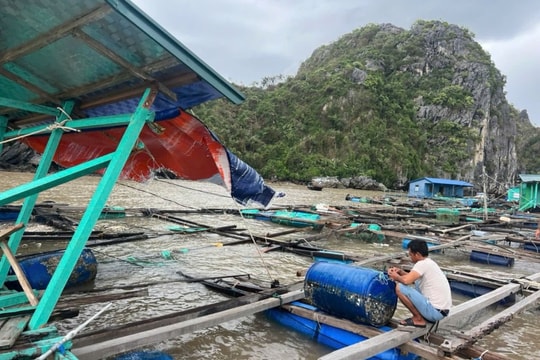 Ảnh hưởng của bão số 3 đối với thủy sản – Các biện pháp khôi phụ và phát triển thủy sản sau