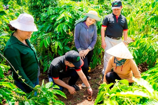 Chức năng, nhiệm vụ, quyền hạn và cơ cấu tổ chức của Bộ Nông nghiệp và Môi trường