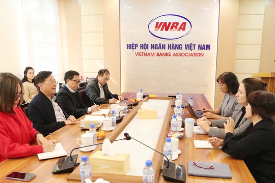 Hiệp hội Ngân hàng làm việc với IFC về xây dựng khung hướng dẫn tái cấu trúc nợ ngoài tòa