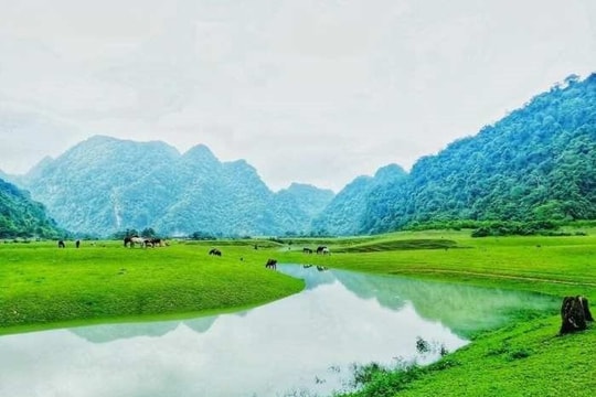 Thảo nguyên Đồng Lâm, Lạng Sơn hoang sơ và quyến rũ