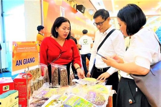 Thực hiện các giải pháp xúc tiến thương mại trong và ngoài nước