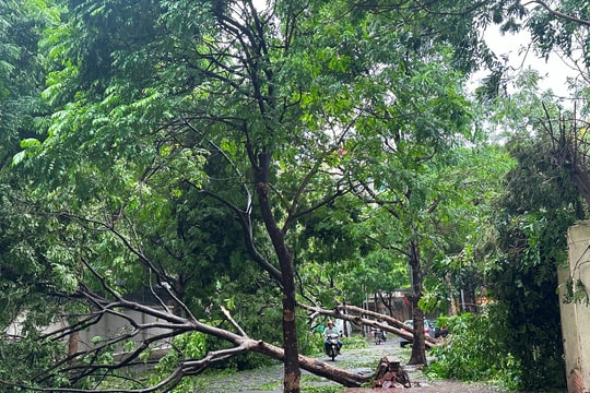 Thúc đẩy sự phục hồi phát triển kinh tế Việt Nam sau bão số 3 (Yagi)